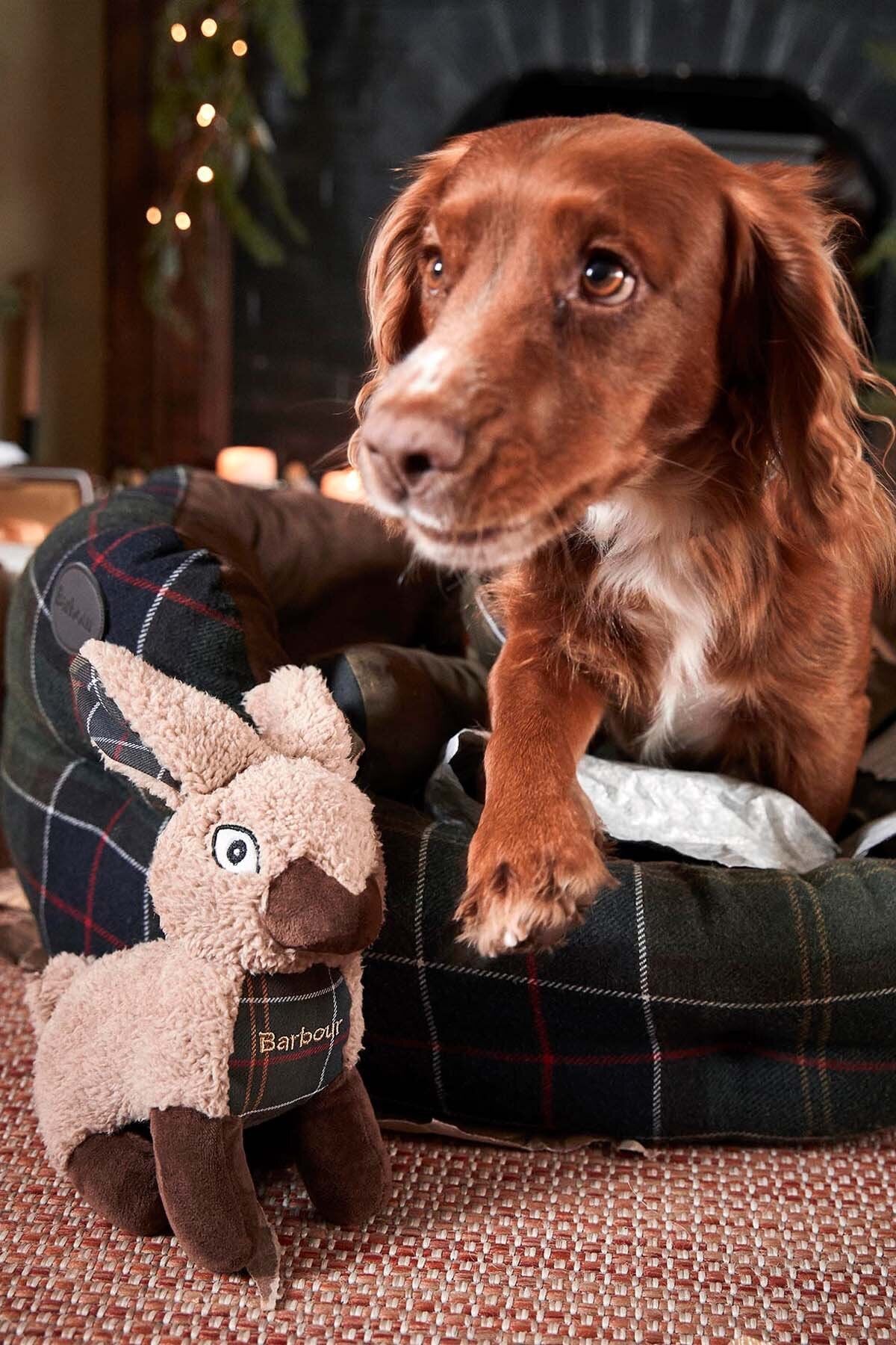 Dog Rabbit Toy